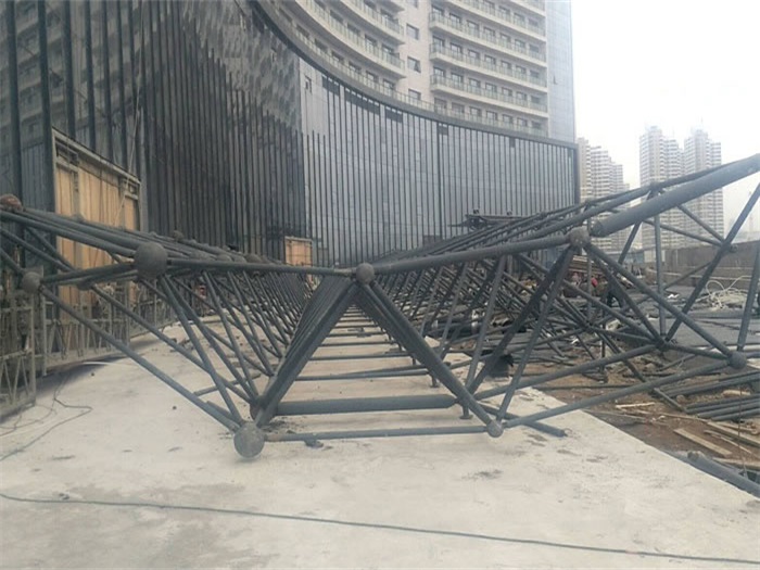 洪湖万豪酒店雨棚网架
